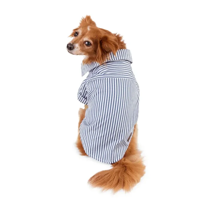 Reddy Railroad Stripe Shirt for Dogs, Blue, XX-Large
