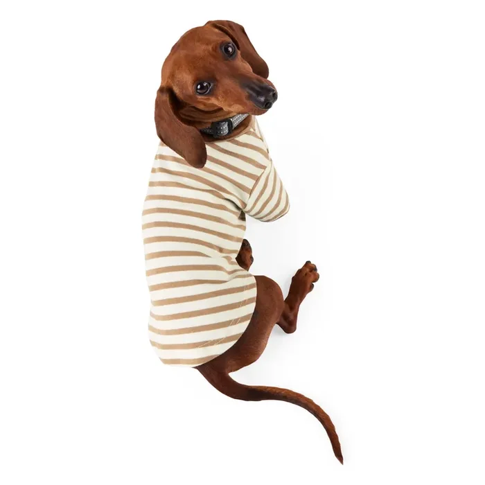 Reddy Stripe Tee for Dogs, Tan, X-Small