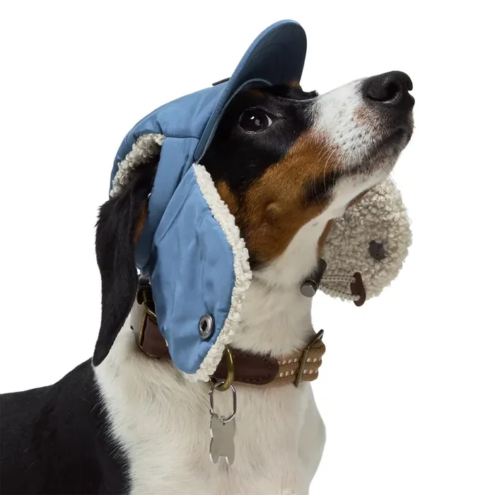 Reddy Trapper Dog Hat, Small/Medium, Blue