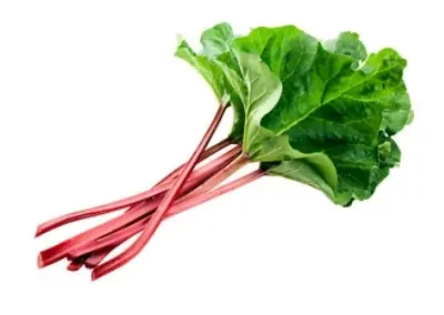 Rhubarb Organic