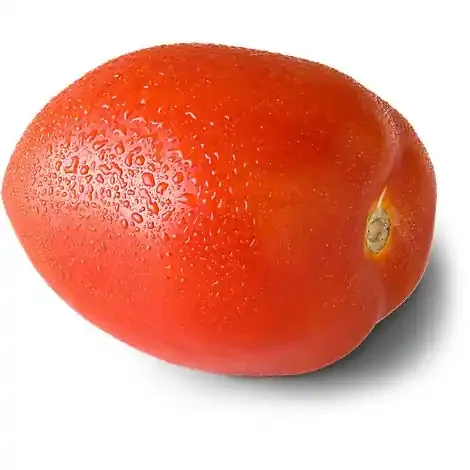 Roma Red Tomatoes
