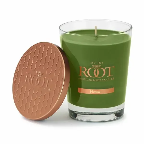 Root Candles Candle, Hosta