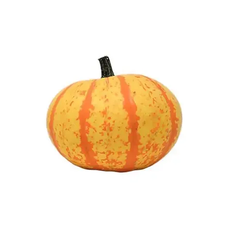 Royalty Ornamental Pumpkin – EA