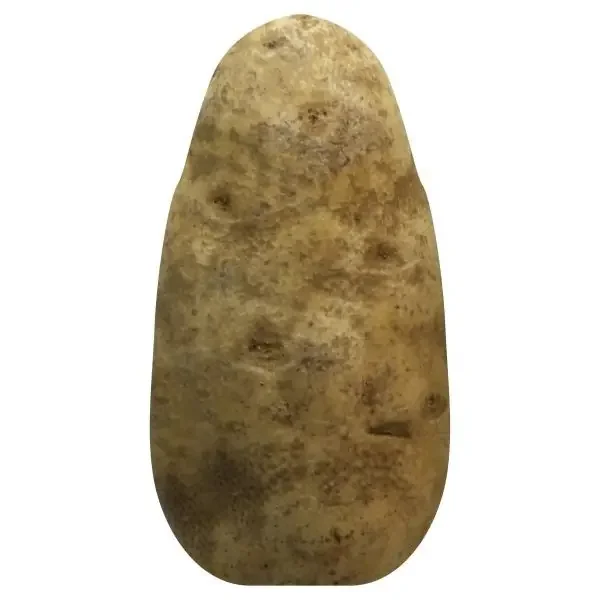 Russet Baking Potato