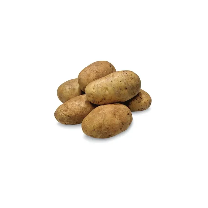 Russet Potato