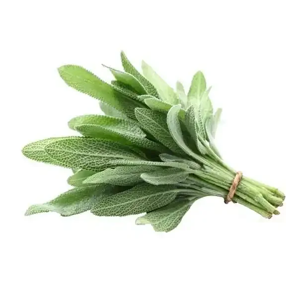 Sage Fresh Bunch Organic – Each