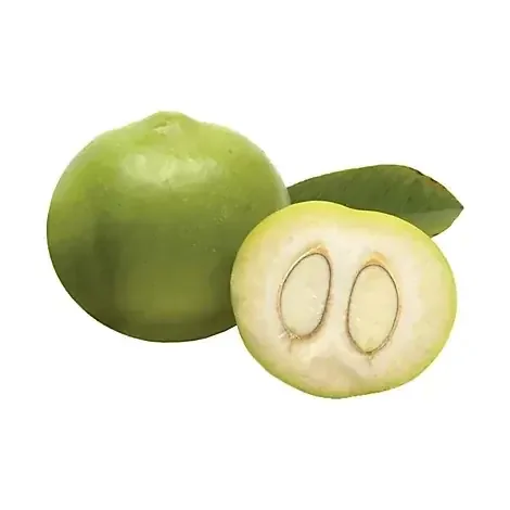 Sapote