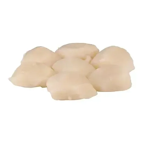 Scallops Sea Jumbo 10-20 Count Frozen – 1 Lb
