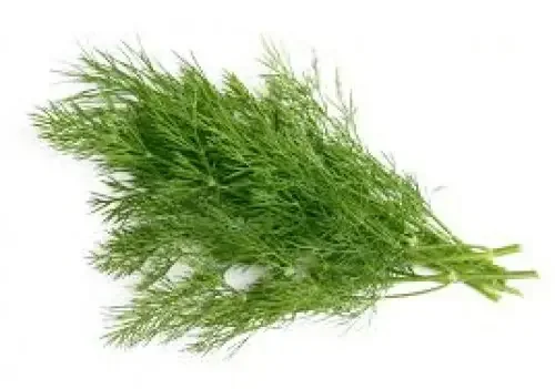 Scissor Tail Rosemary Clamshell