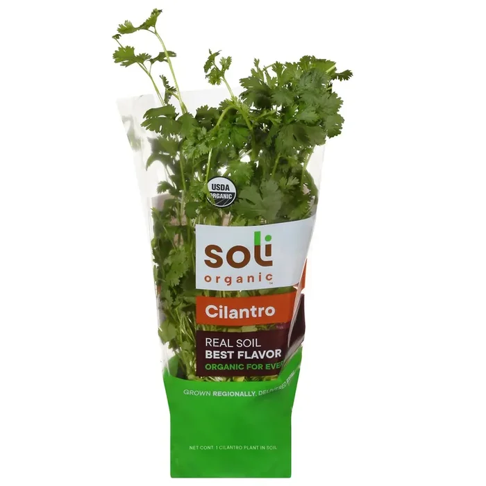 Soli Organic Cilantro 1 ea
