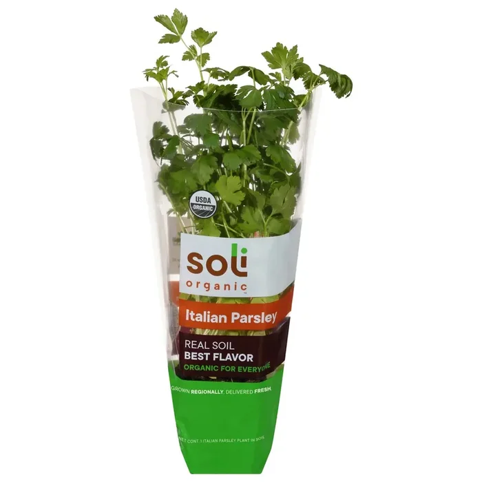 Soli Organic Italian Parsley 1 ea