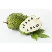 Soursop/Guanabana