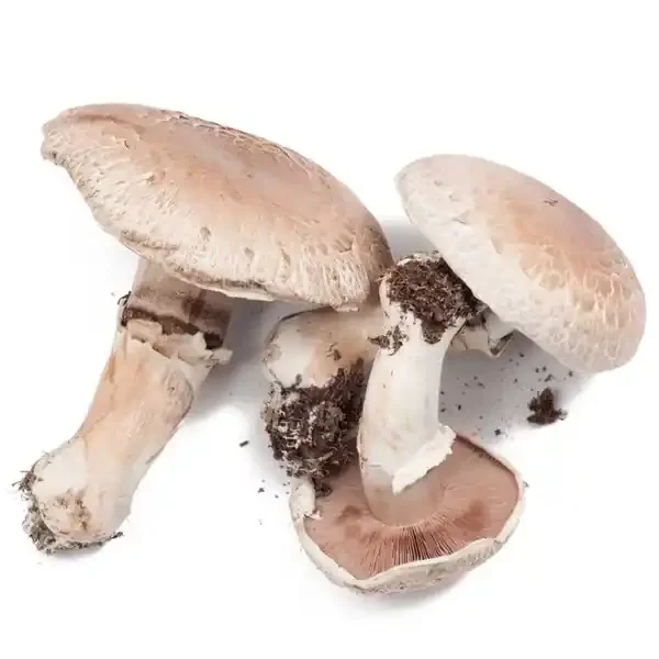 Spartan Fresh Selections Mushroom Portabella Caps