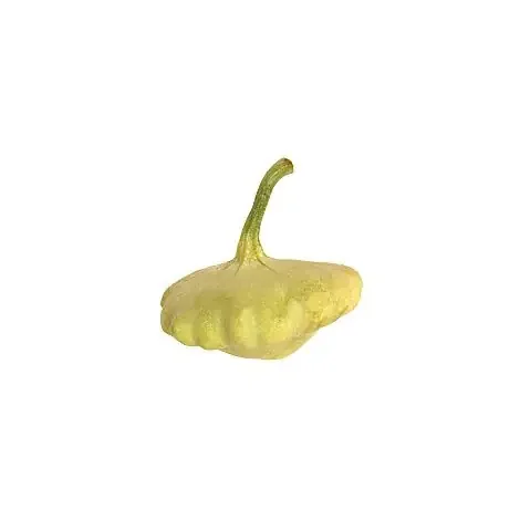 Squash Patty Pan