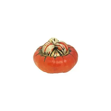 Squash Turban