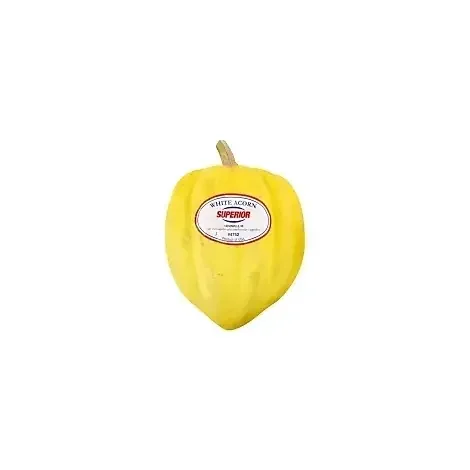 Squash White Acorn
