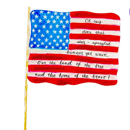 Star Spangled Flag