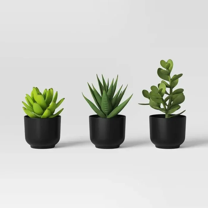 Succulent Artificial in Black Pot – Room Essentials™