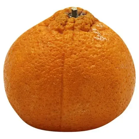 Sumo Citrus