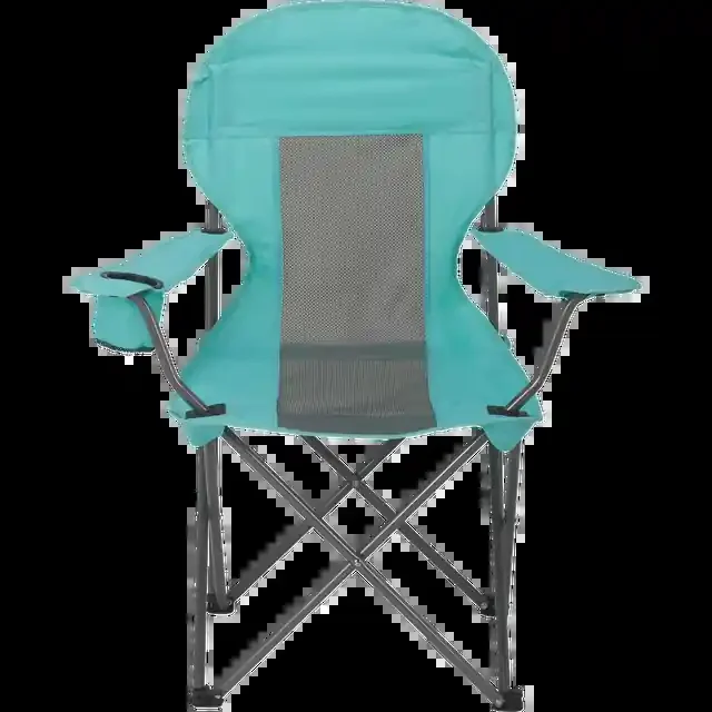 SUN & SKY Deluxe Arm Chair