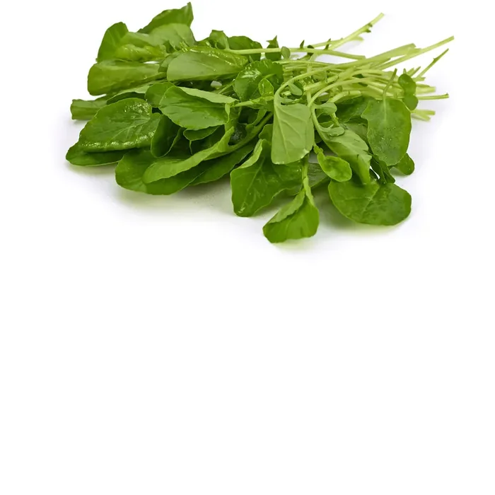 Sun Harvest Watercress