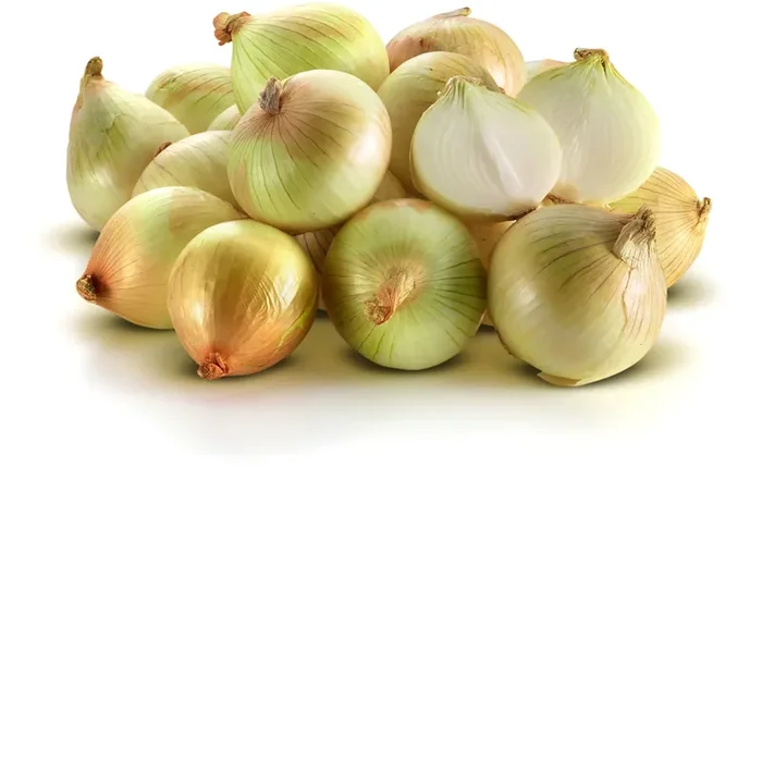 Sunion Sweet Onions