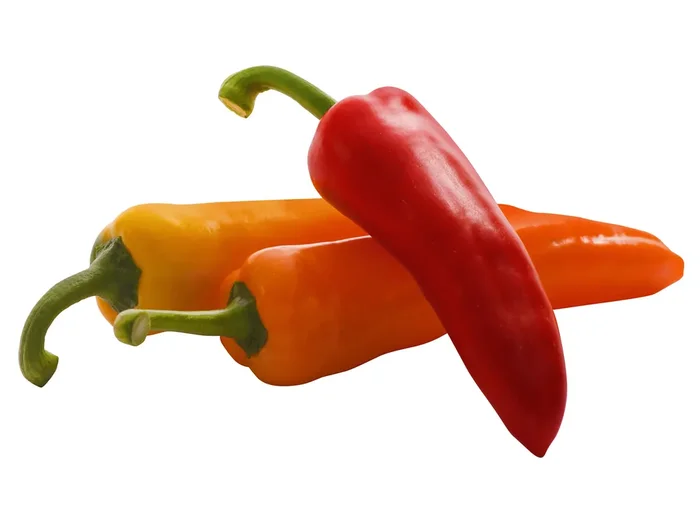 SUNSET Sweet Pepper