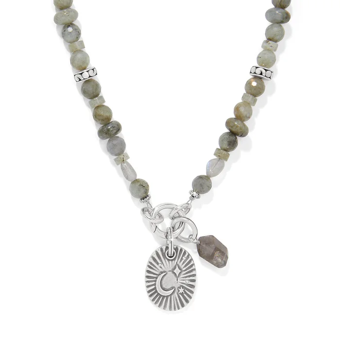 Token Charm Labradorite Necklace