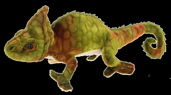 Veiled Chameleon