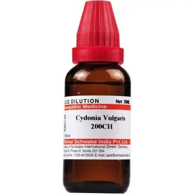 Willmar Schwabe Cydonia Vulgaris (200 CH) (30 ML)