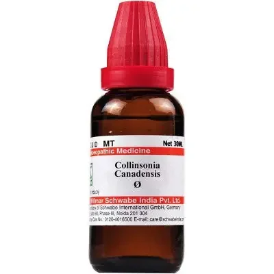 Willmar Schwabe India Collinsonia Canadensis Mother Tincture Q (30ml)