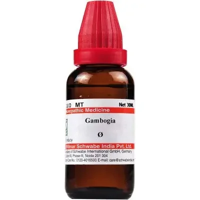 Willmar Schwabe India Gambogia Mother Tincture Q (30ml)
