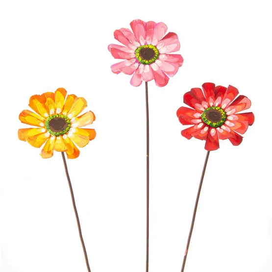 Zinnia Stakes Trio